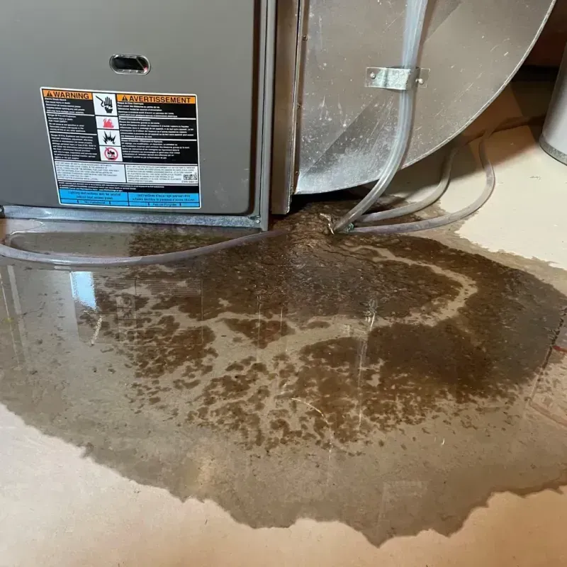 Appliance Leak Cleanup in Jamestown, ND